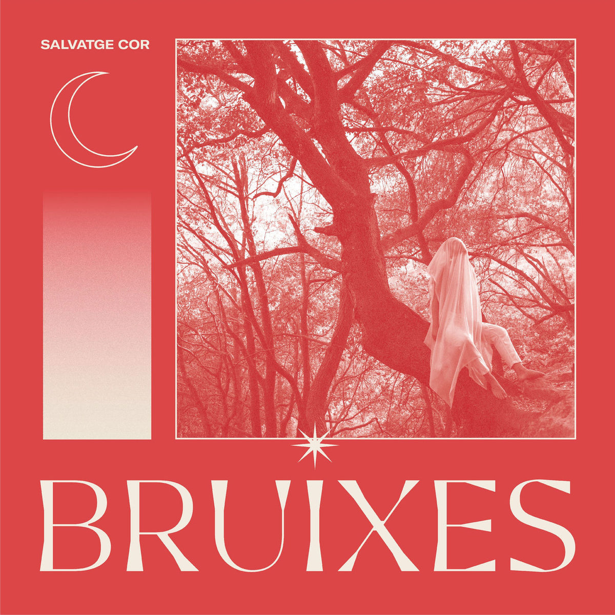 Salvatge Cor – Bruixes vinyl record cover