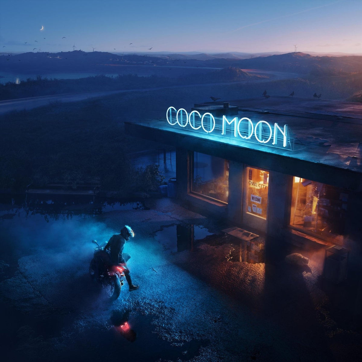 Owl City – Coco Moon vinyl record cover