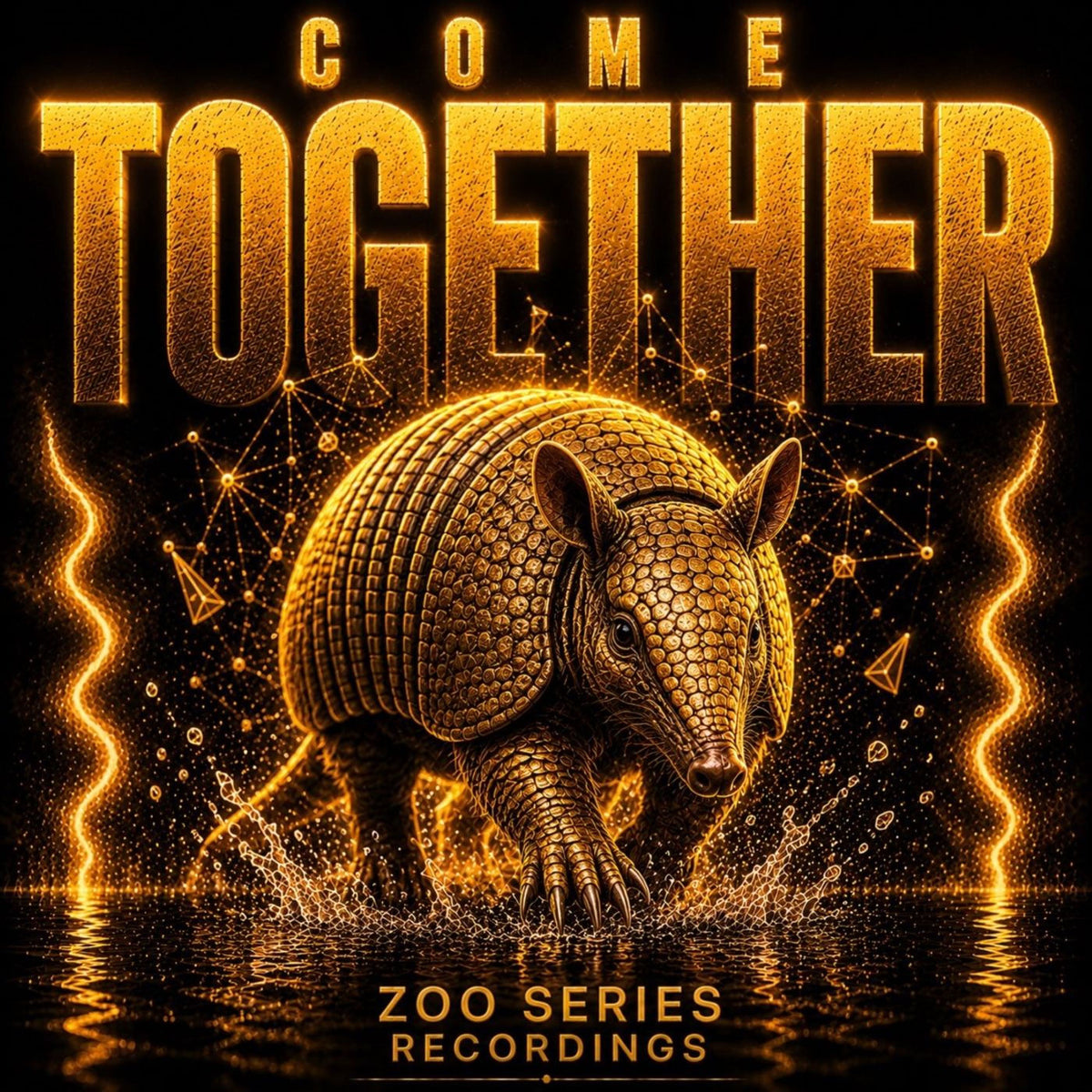 Various Artists – Come Together vinyl record cover