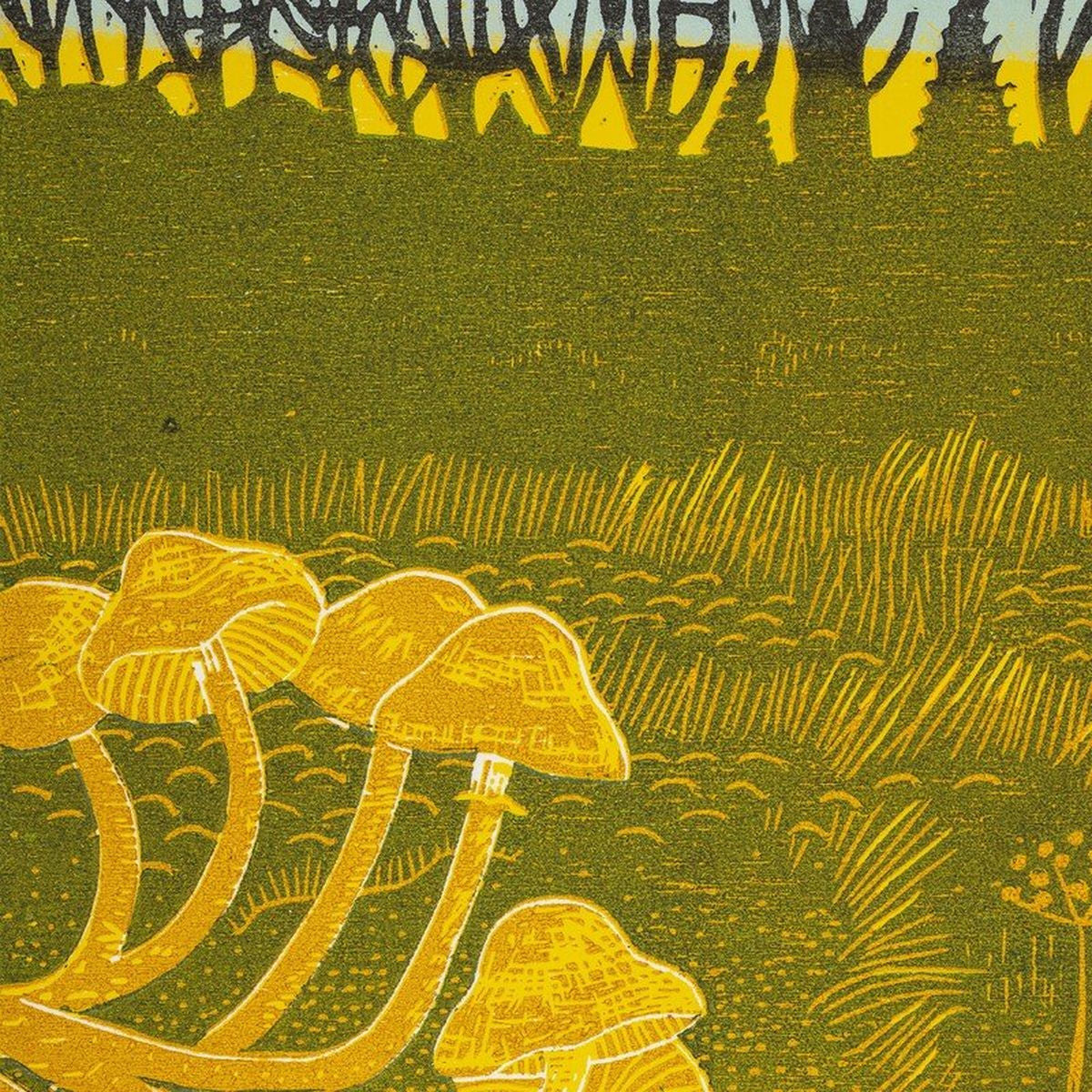 Rural Tapes – Rural Tapes vinyl record cover