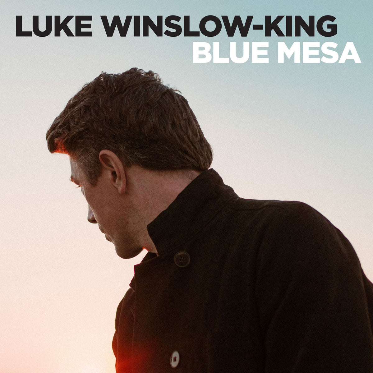Luke Winslow-King – Blue Mesa vinyl cover