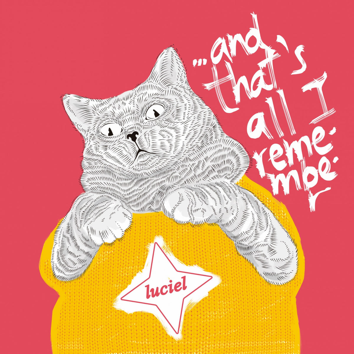 Luciel – And That'S All I Remember (BLACK VINYL) vinyl record cover