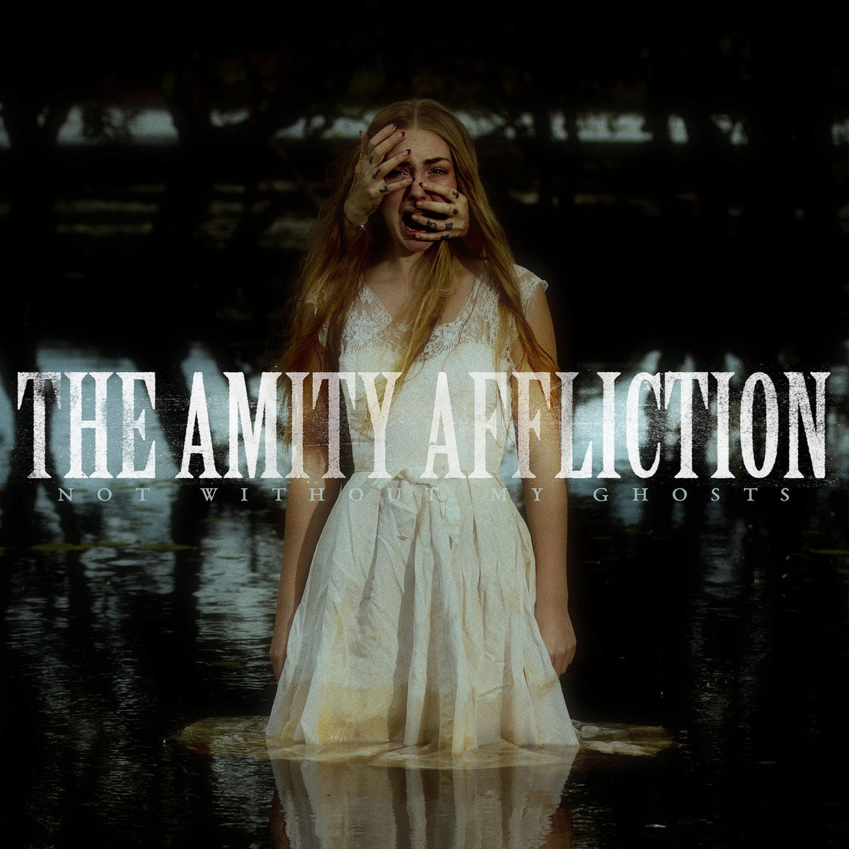 Amity Affliction, The – Not Without My Ghosts vinyl record cover