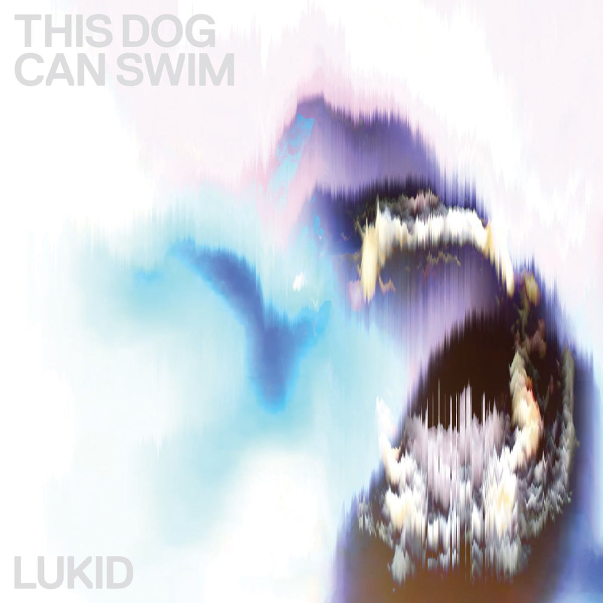 Lukid – This Dog Can Swim vinyl cover
