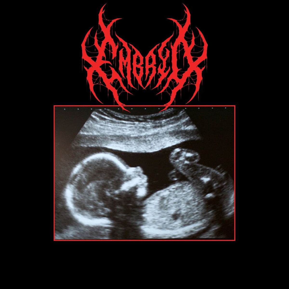 Embryo (feat. Mishra) – Embryo vinyl record cover