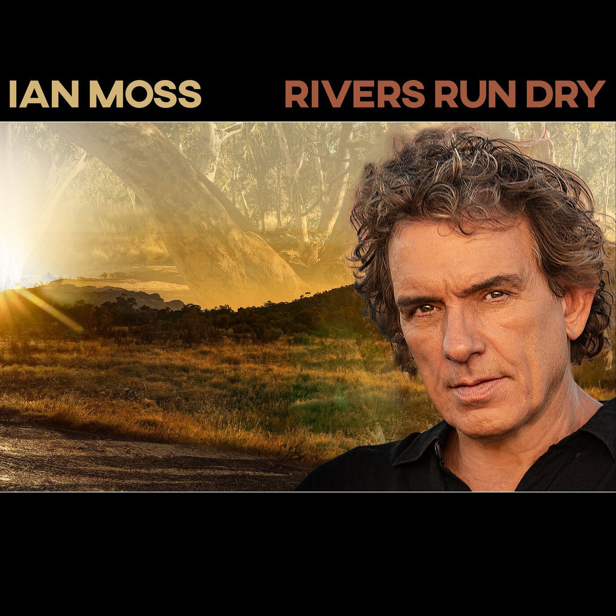 Moss, Ian – Rivers Run Dry vinyl record cover