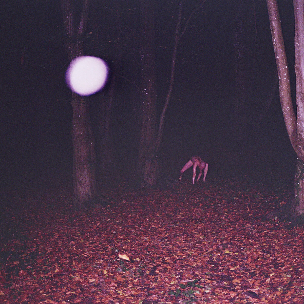 Buzzard Buzzard Buzzard – Skinwalker vinyl record cover