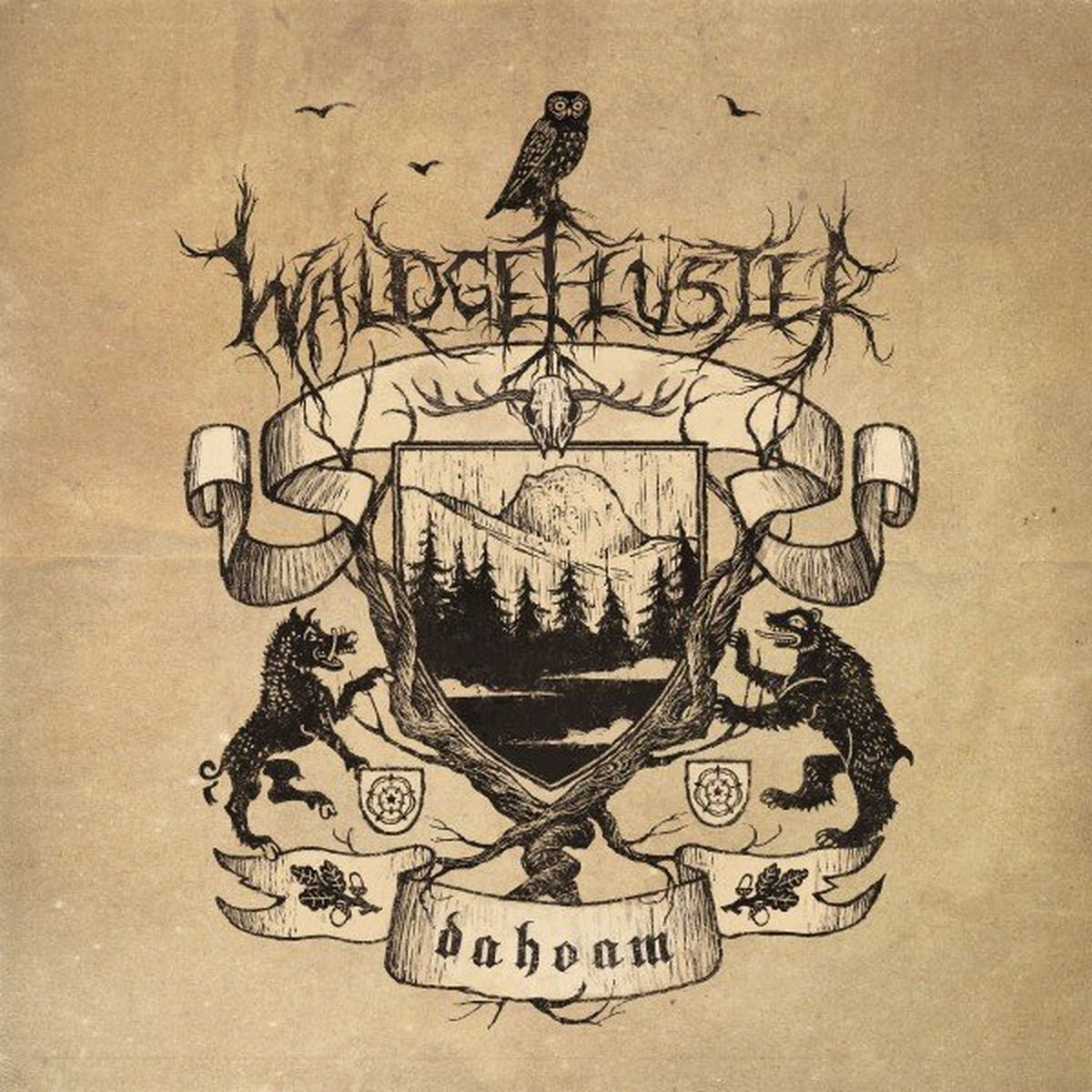 Waldgefluster – Dahoam vinyl record cover