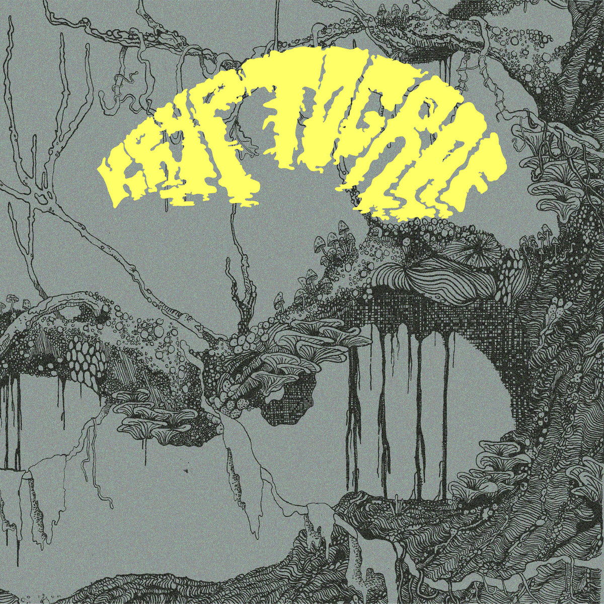 Kryptograf – Kryptograf vinyl record cover