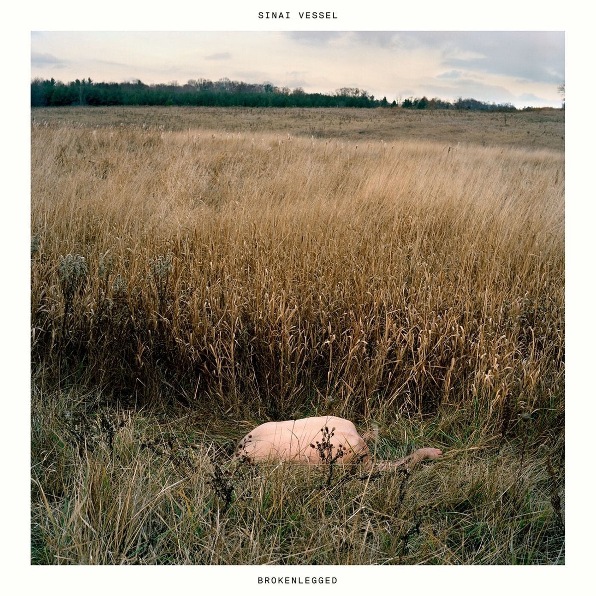Sinai Vessel – Brokenlegged vinyl record cover