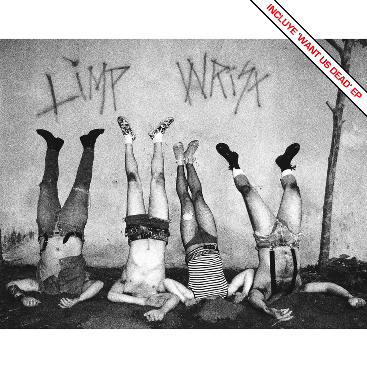 Limp Wrist – Limp Wrist vinyl cover