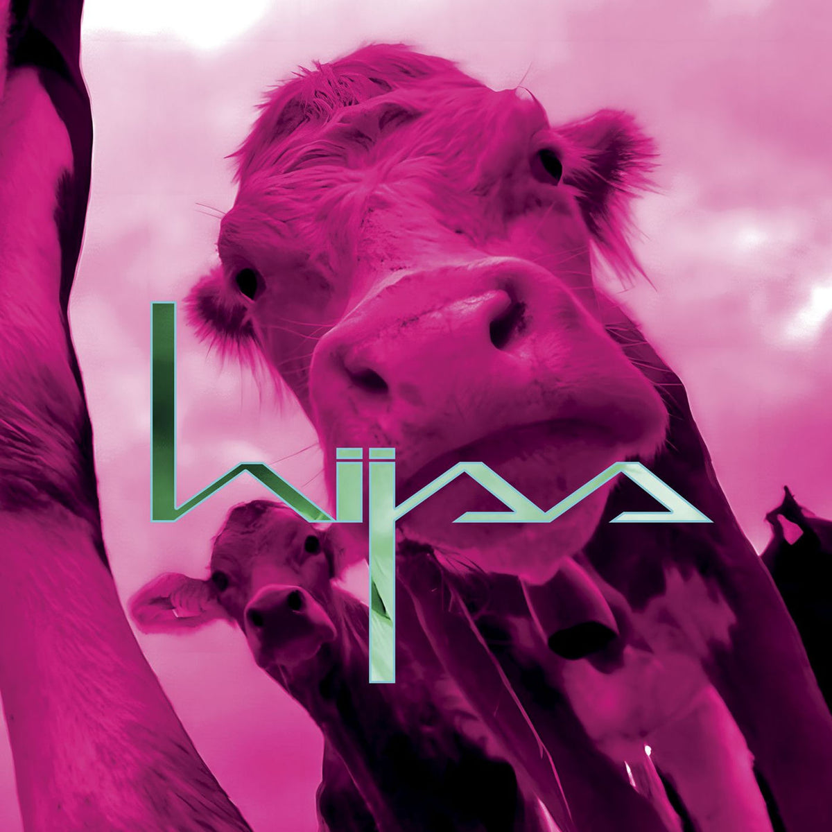 Hijss – Hijss vinyl record cover