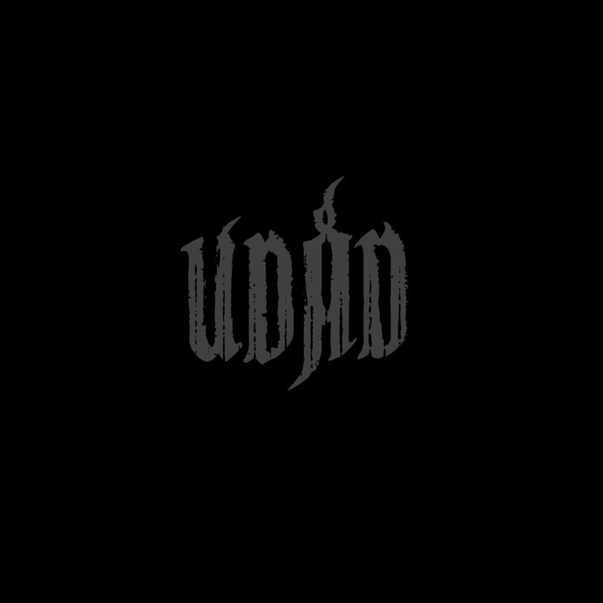 UDAD – UDÅD vinyl cover