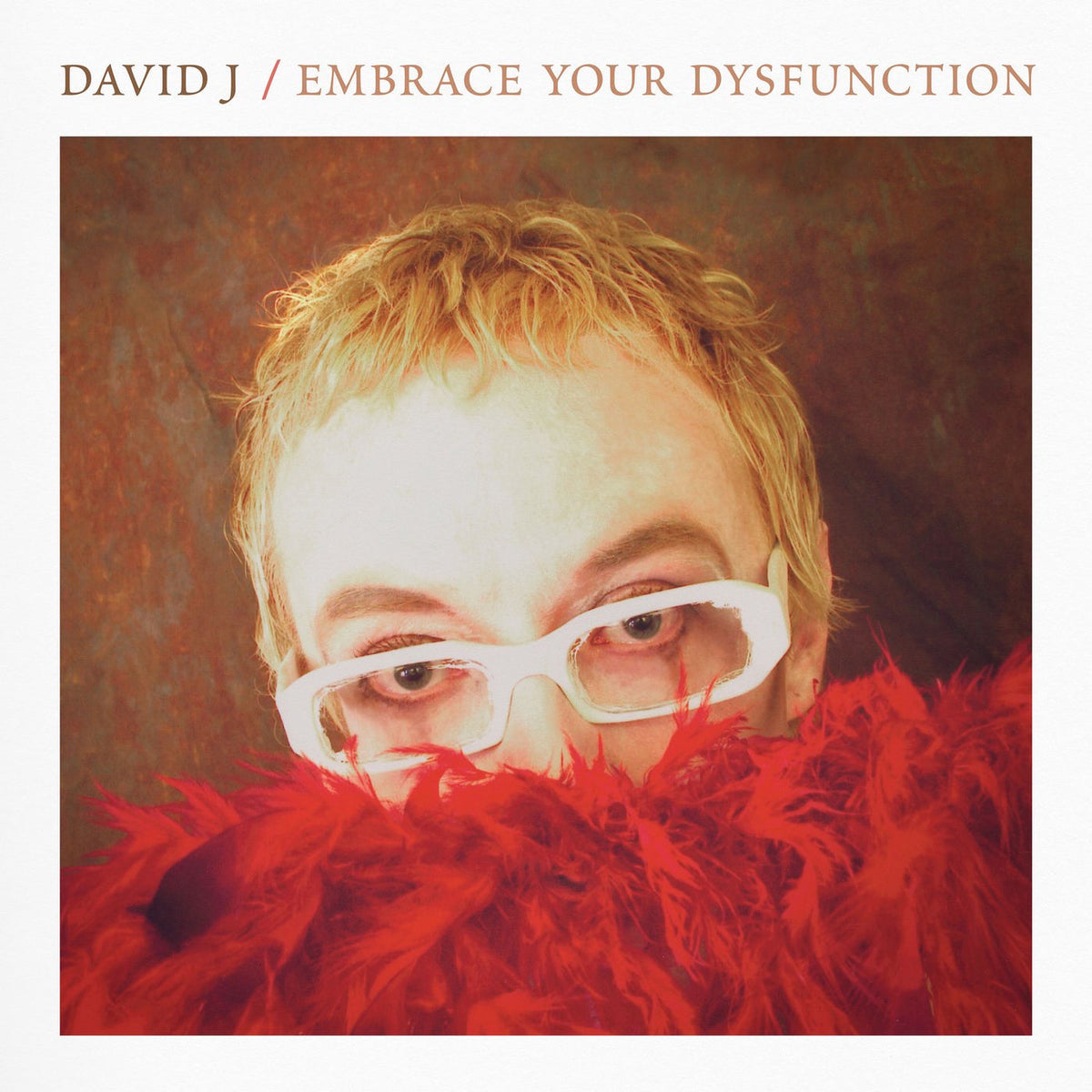 David J – Embrace Your Dysfunction vinyl record cover