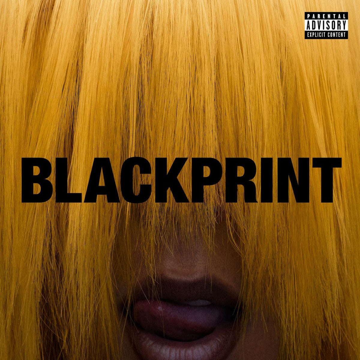 Miss Kaninna – Blackprint vinyl record cover