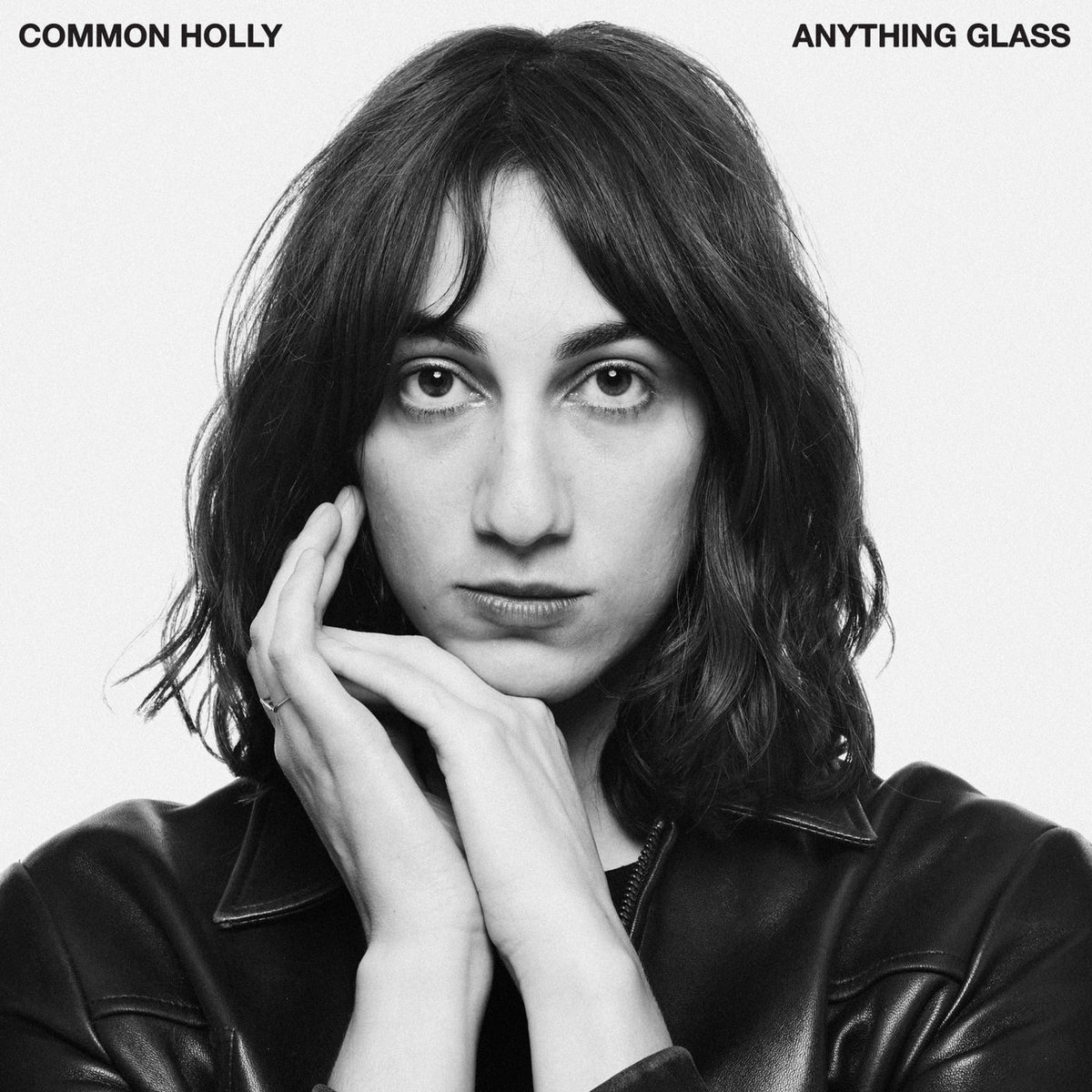 Common Holly – Anything Glass vinyl record cover