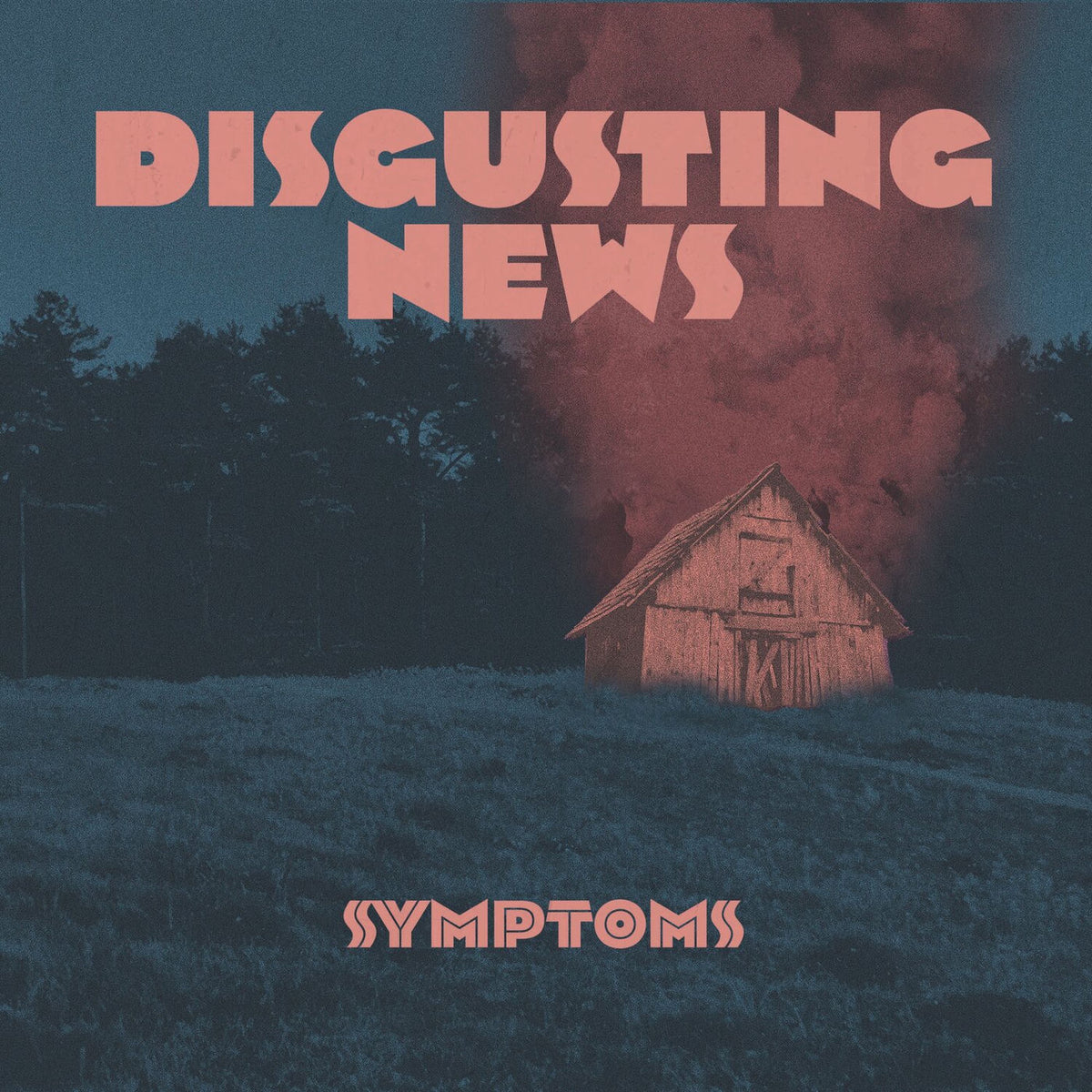 Disgusting News – Symptoms vinyl record cover