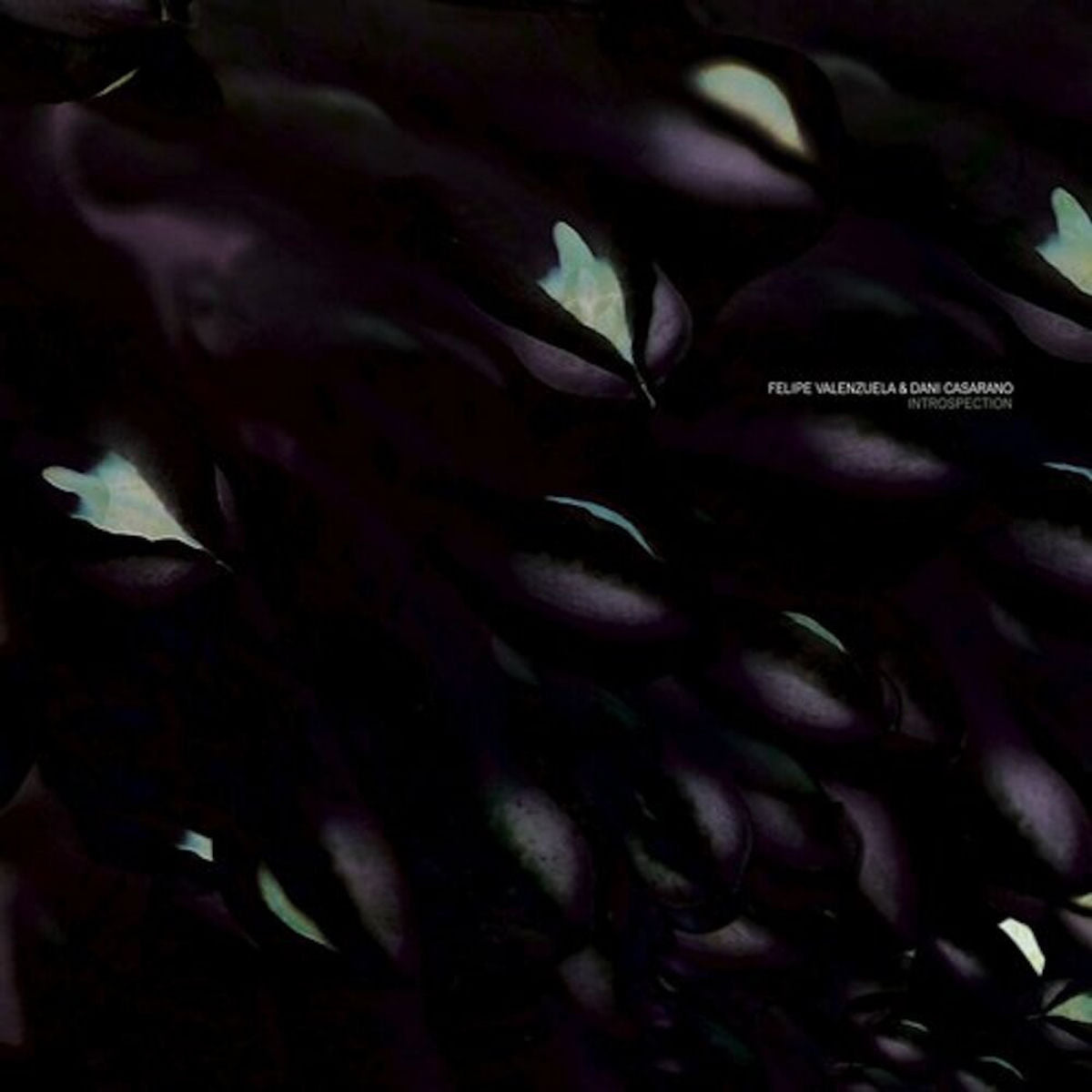 Dani Casarano – Introspection vinyl cover