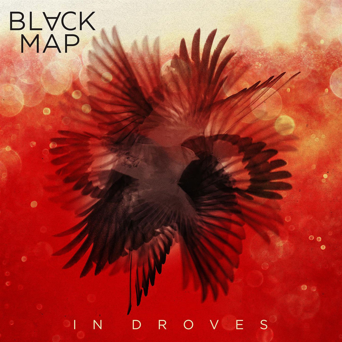 Black Map – In Droves vinyl record cover