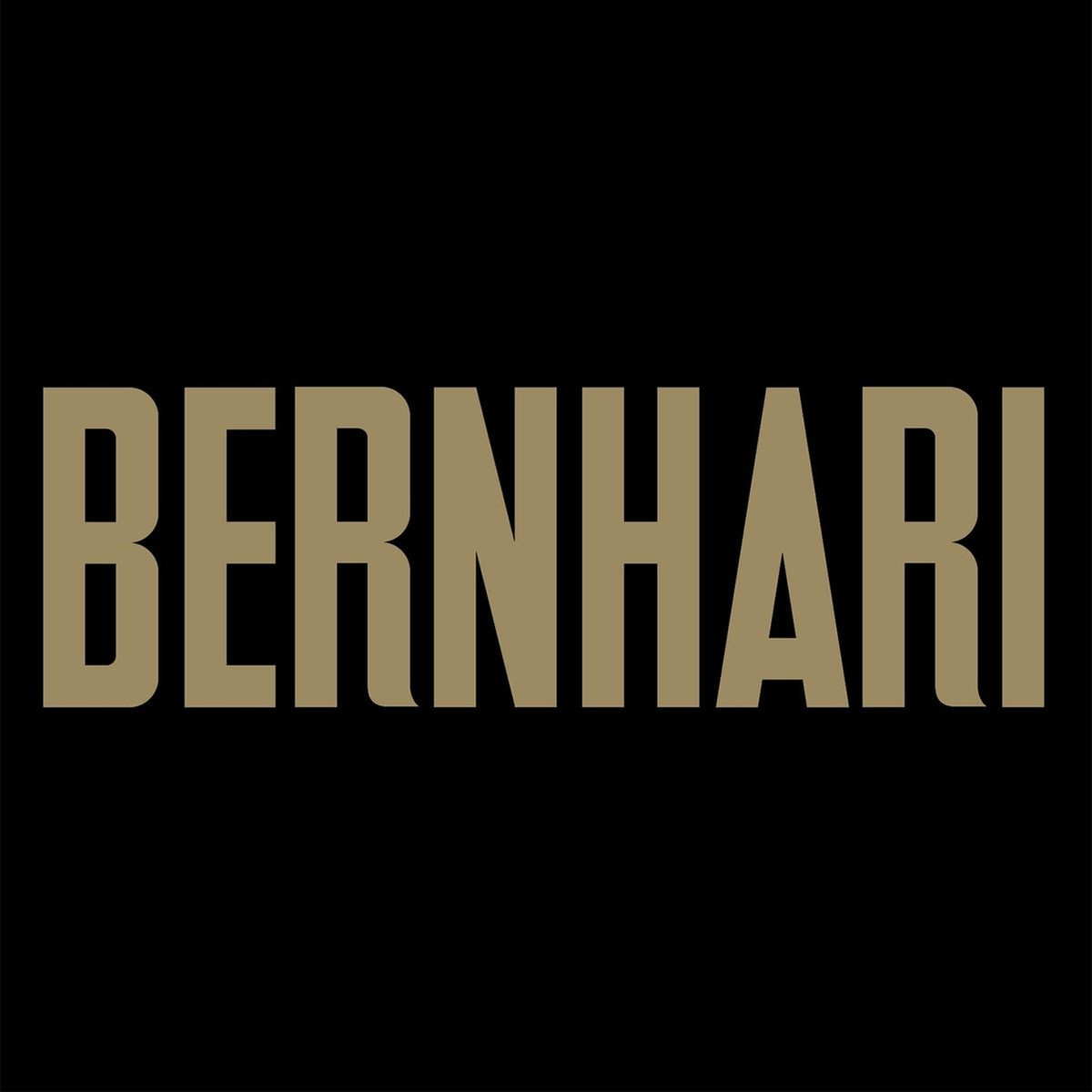 Bernhari – Bernhari vinyl record cover