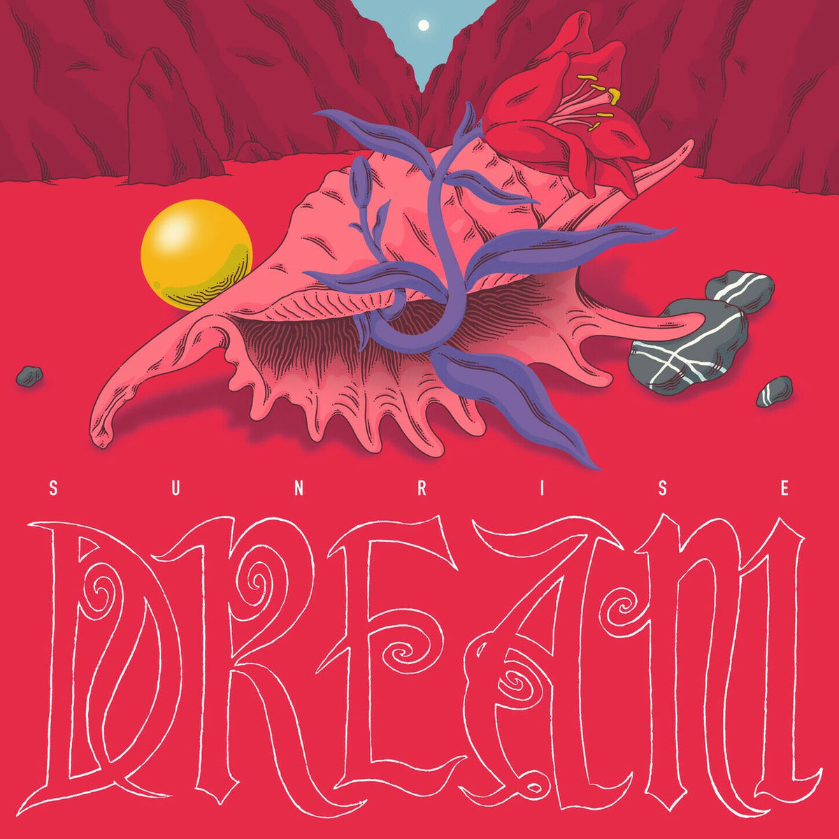 Various Artists – Sunrise Dream vinyl record cover