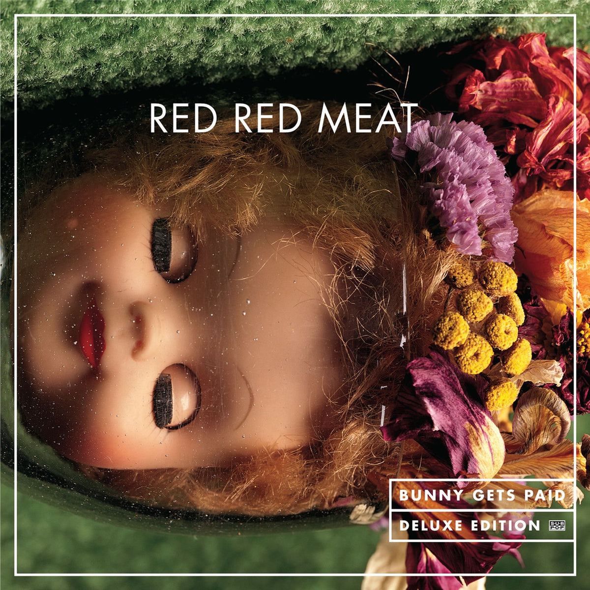 Red Red Meat – Bunny Gets Paid: Deluxe Edition vinyl cover