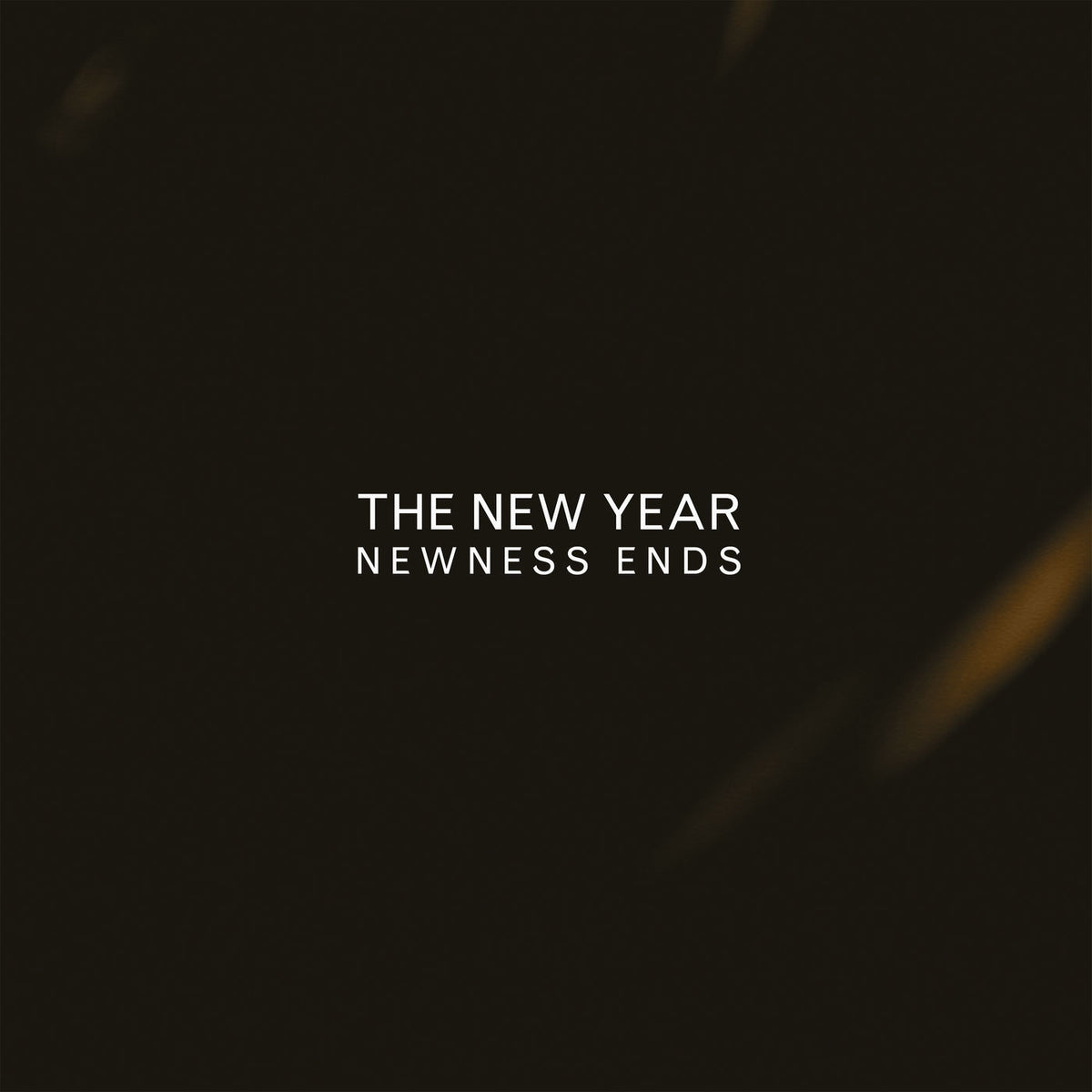 The New Year – Newness Ends vinyl record cover