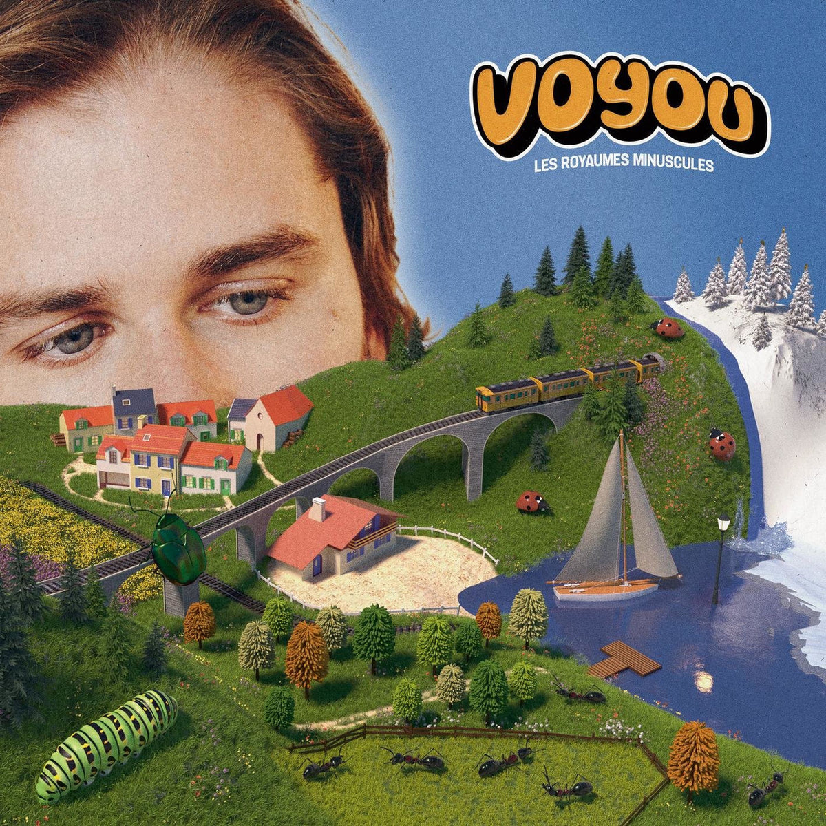 Voyou – Les Royaumes Minuscules vinyl record cover