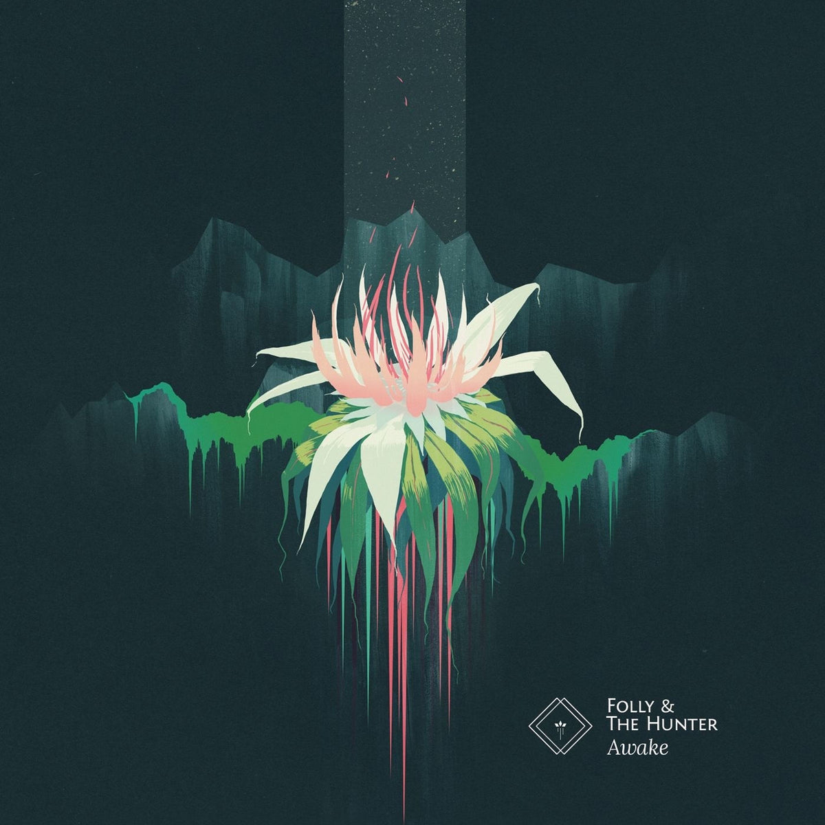 Folly & The Hunter – Awake vinyl record cover