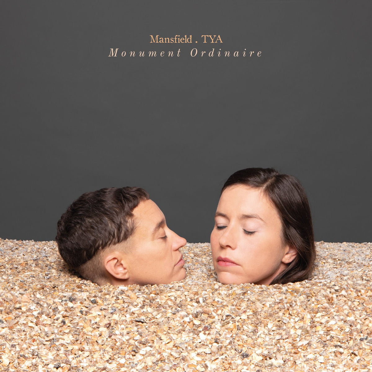 Mansfield, Tya – Monument Ordinaire vinyl record cover