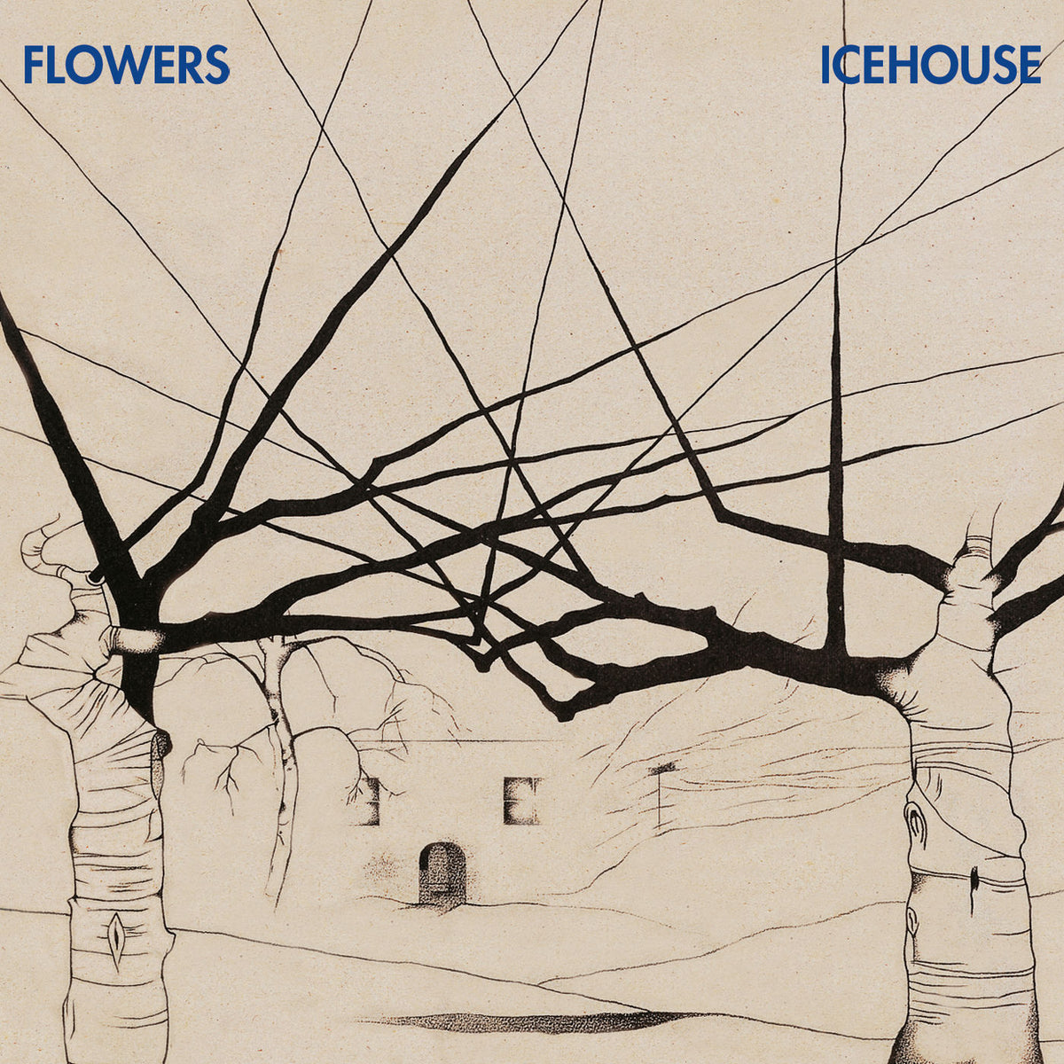 Flowers – Icehouse vinyl record cover
