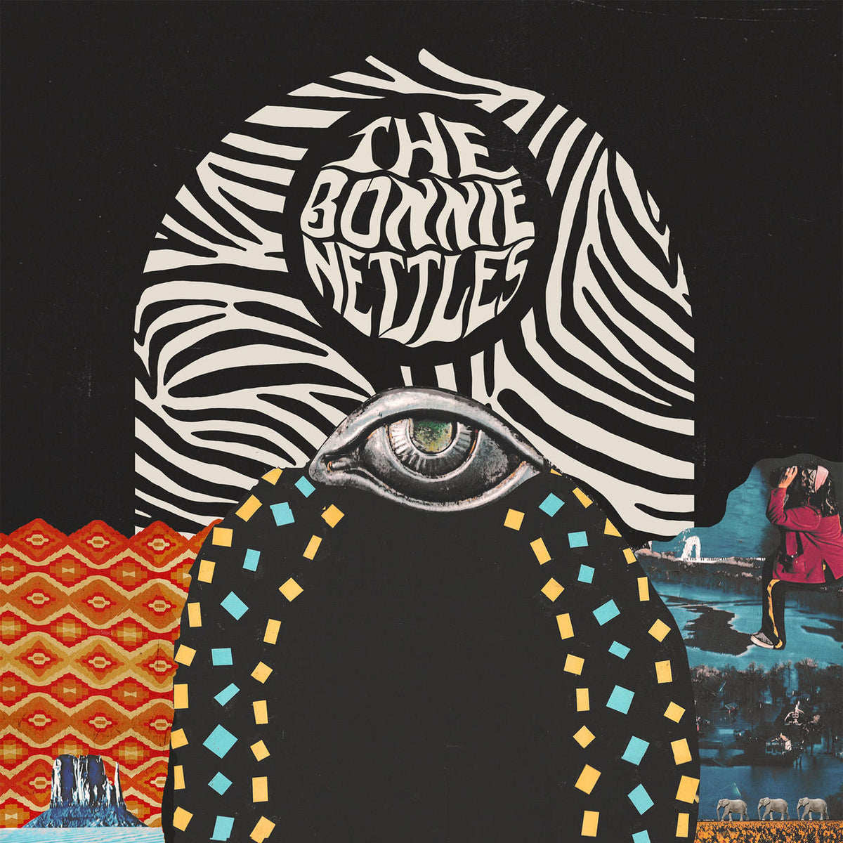 The Bonnie Nettles – The Bonnie Nettles vinyl record cover
