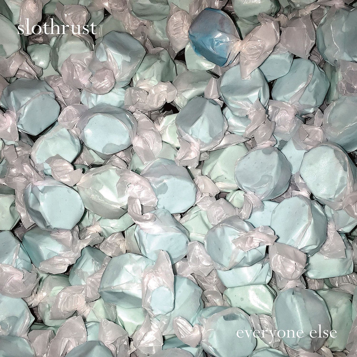 Slothrust – Everyone Else vinyl record cover