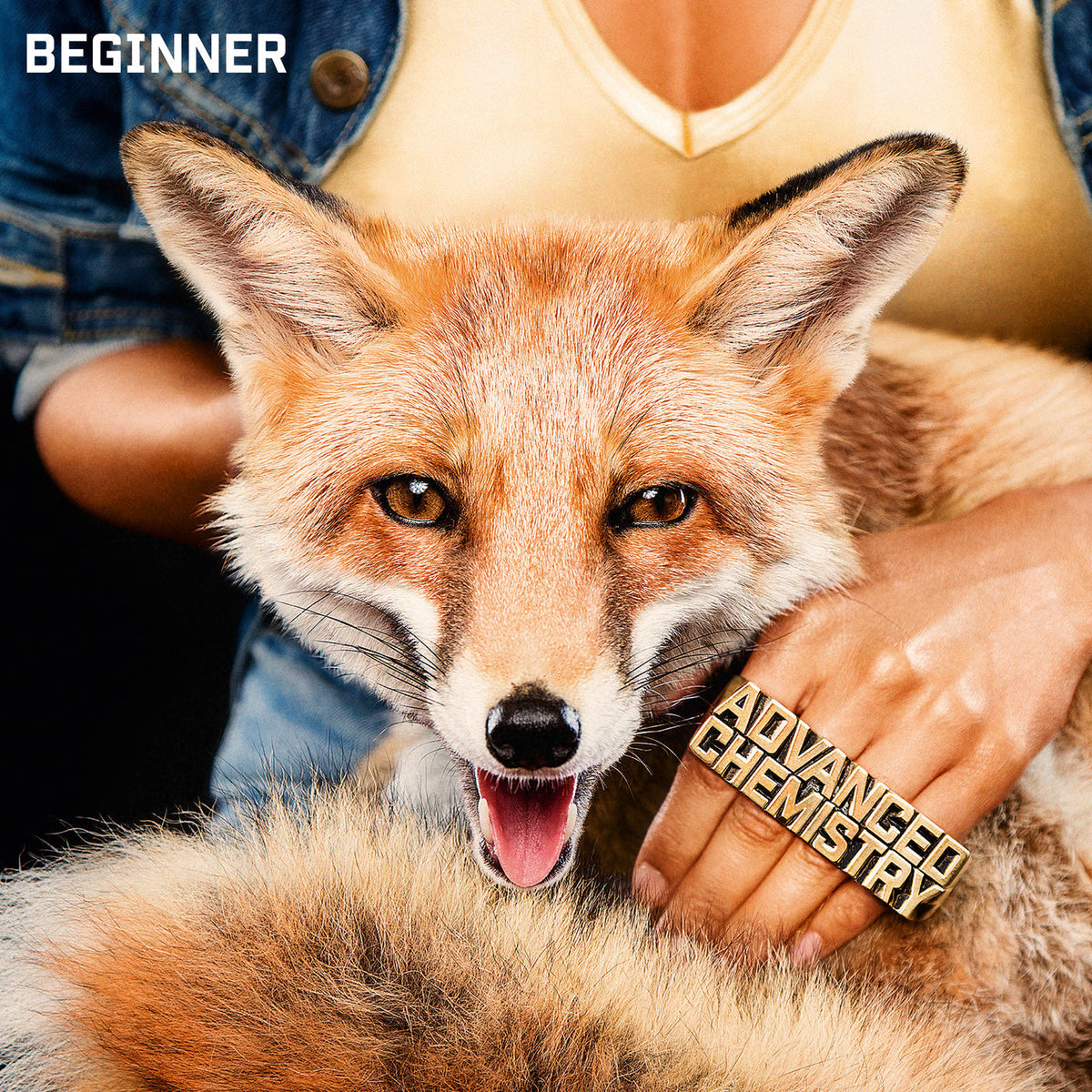 Beginner – Advanced Chemistry (GER) vinyl record cover