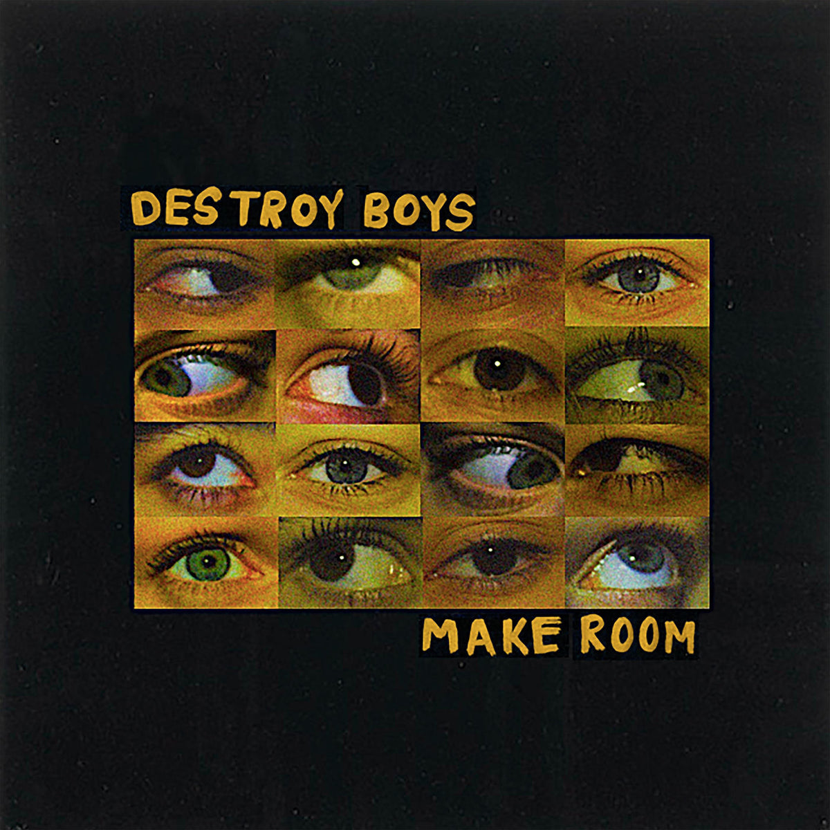 Destroy Boys – Make Room vinyl record cover