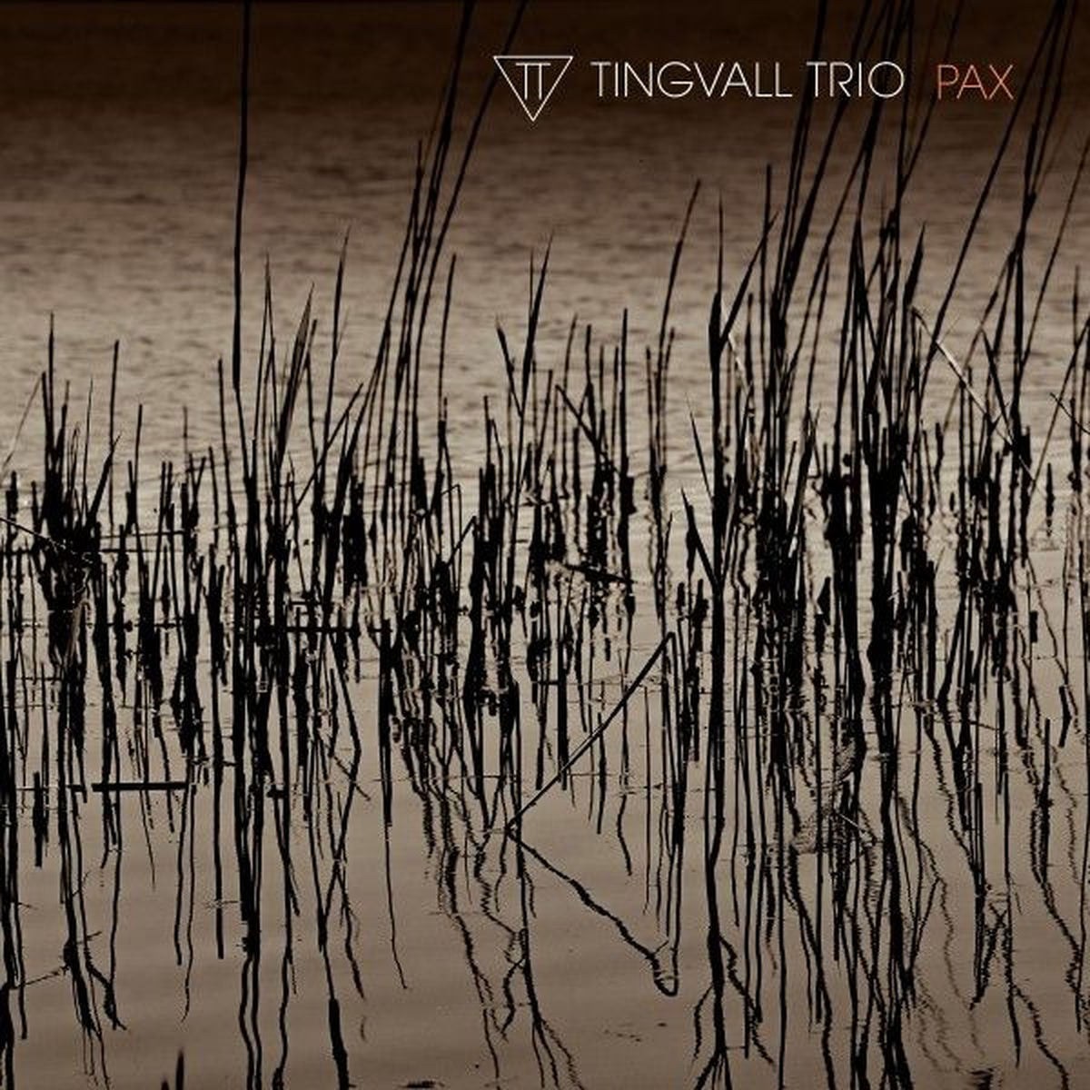 Tingvall Trio – PAX vinyl record cover