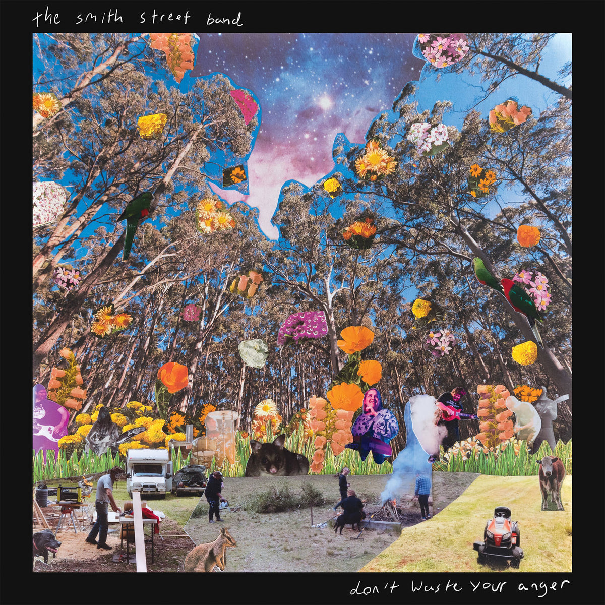 The Smith Street Band – Don'T Waste Your Anger vinyl record cover