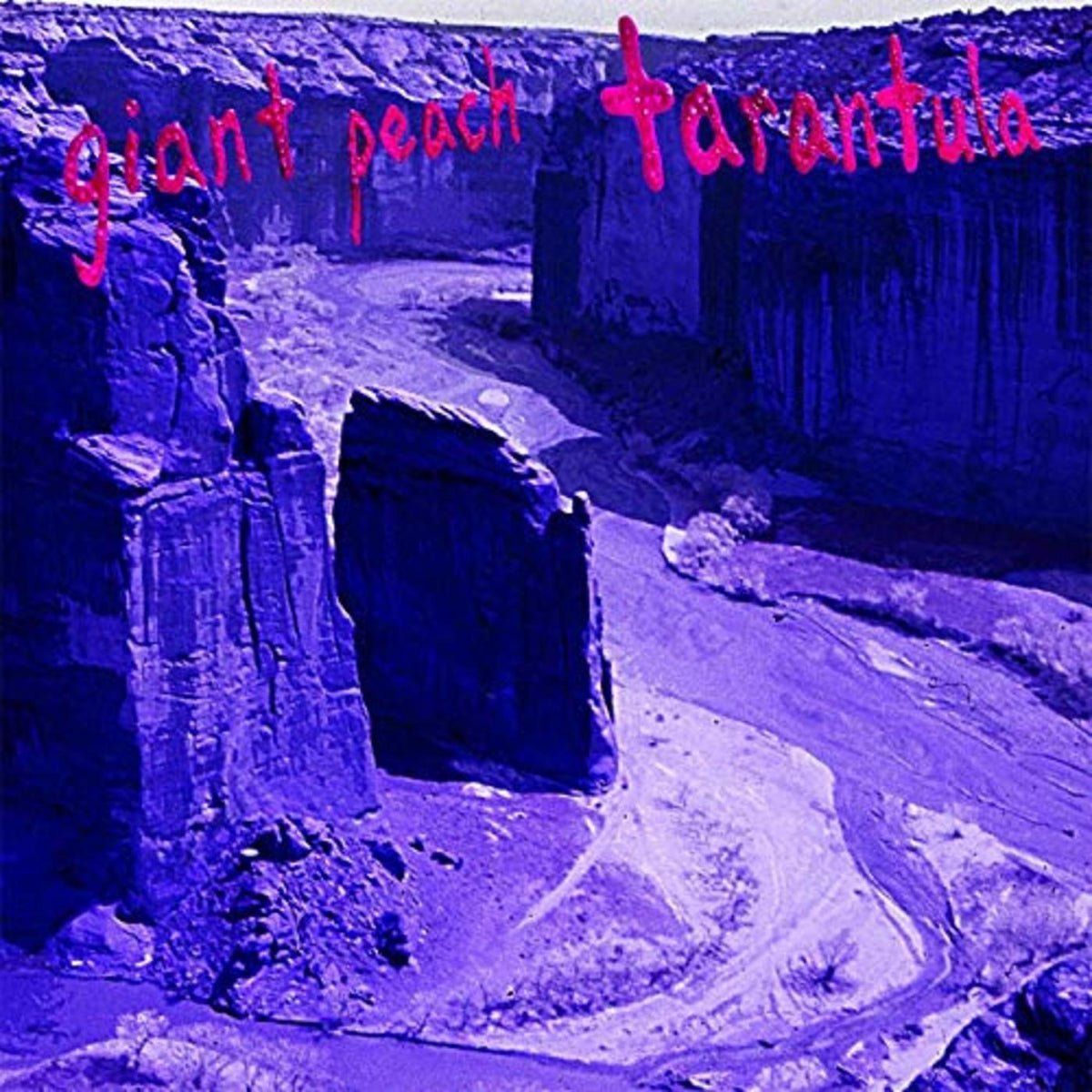 Giant Peach – Tarantula vinyl cover