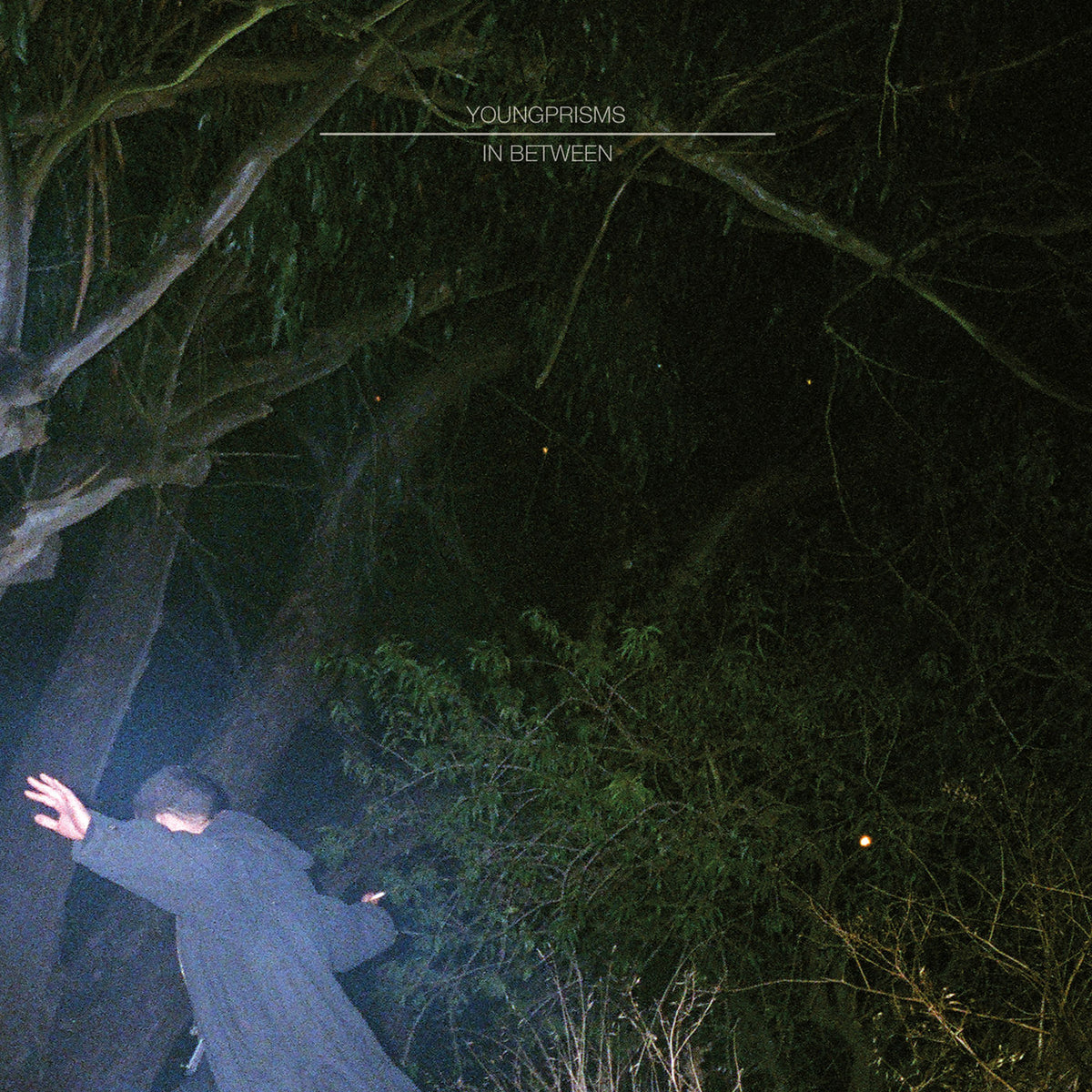 Young Prisms – In Between vinyl cover