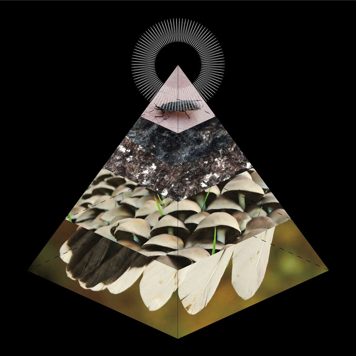 Belus – Apophenia vinyl record cover