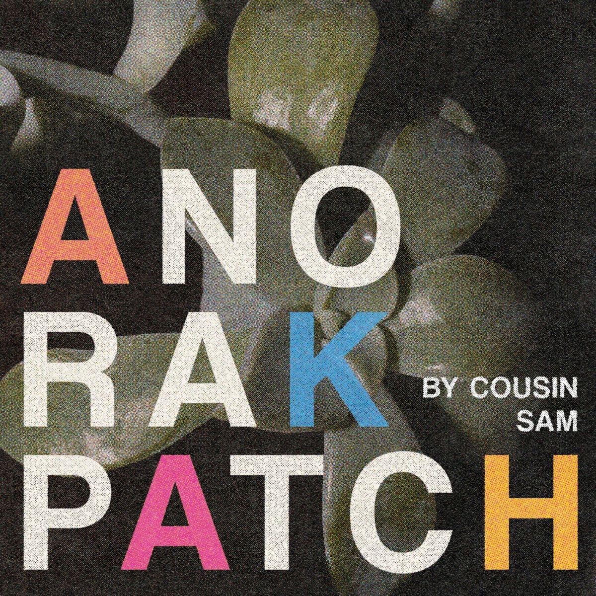 Anorak Patch – By Cousin Sam vinyl record cover