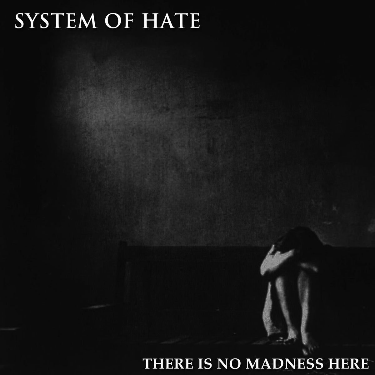 System of Hate – There Is No Madness Here vinyl record cover
