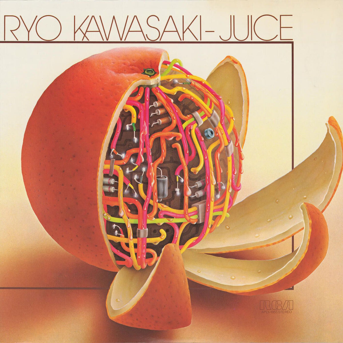 Ryo Kawasaki – Juice — record image 1