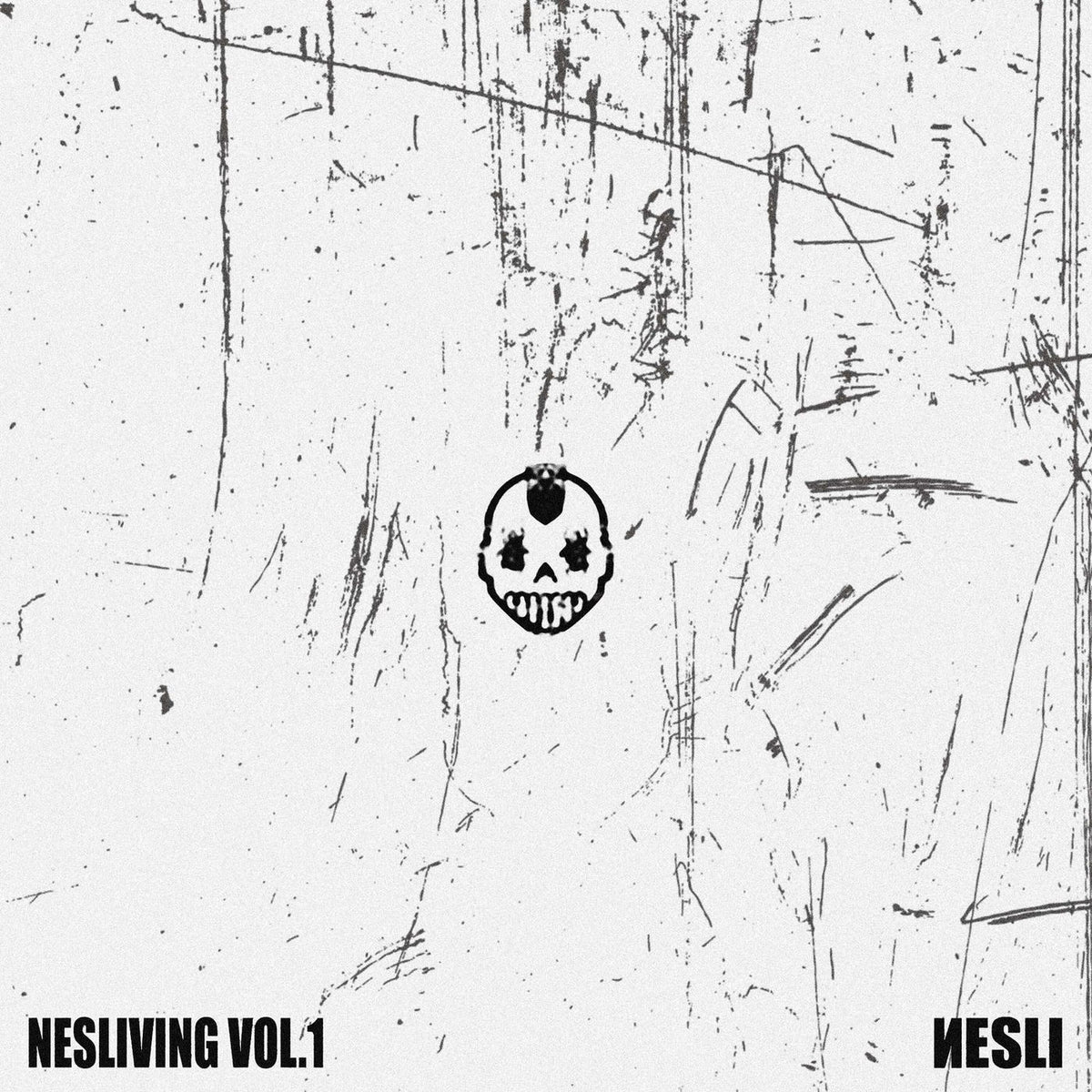Nesli – Nesliving Vol 1 vinyl record cover