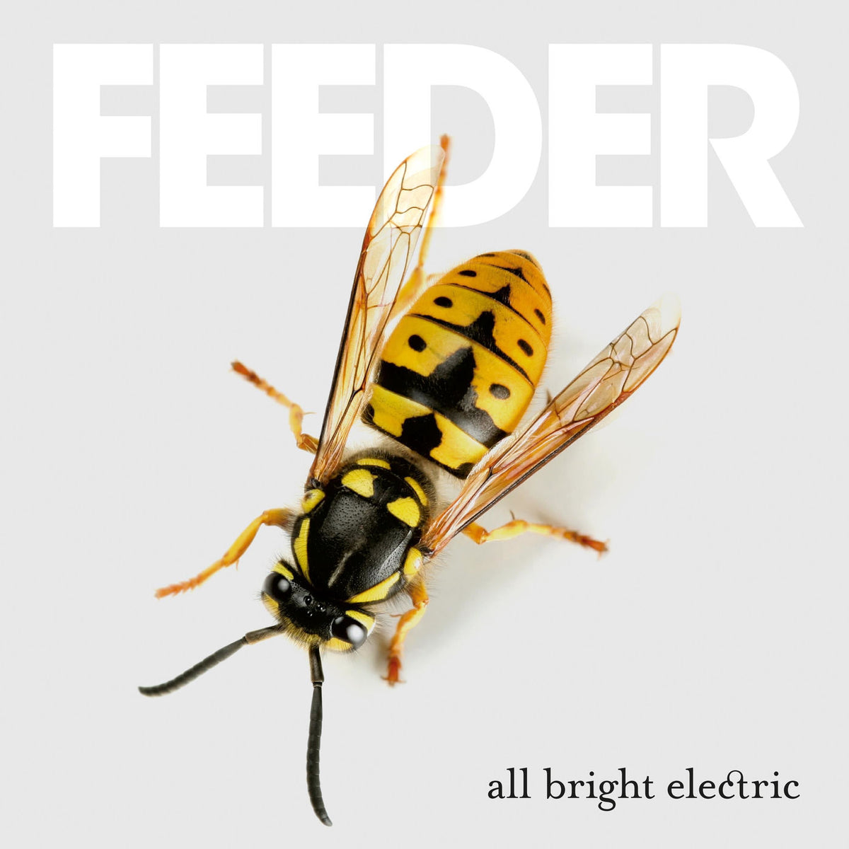 Feeder – All Bright Electric vinyl record cover
