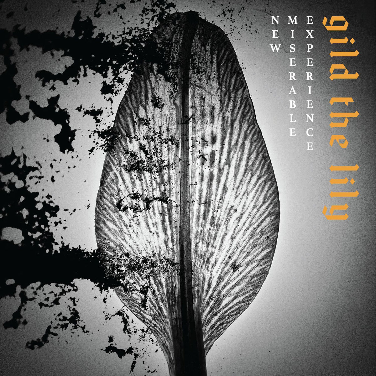 New Miserable Experience – Gild the Lily vinyl record cover