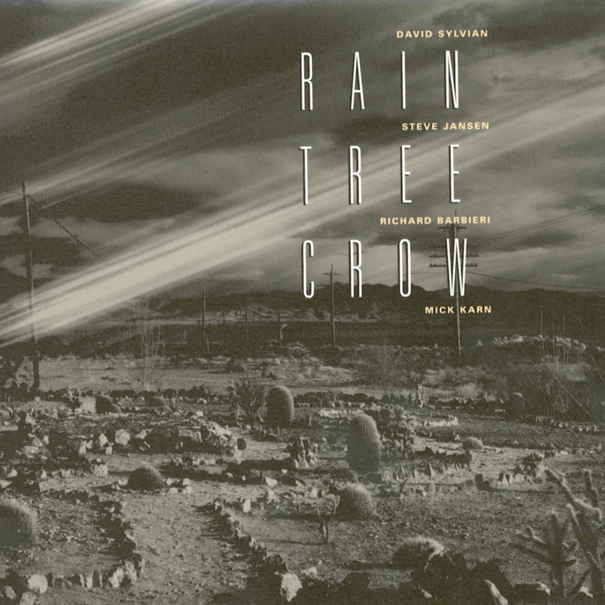 Rain Tree Crow – Rain Tree Crow vinyl record cover