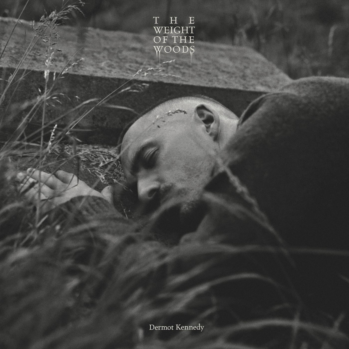 Dermot Kennedy – The Weight of the Woods vinyl record cover