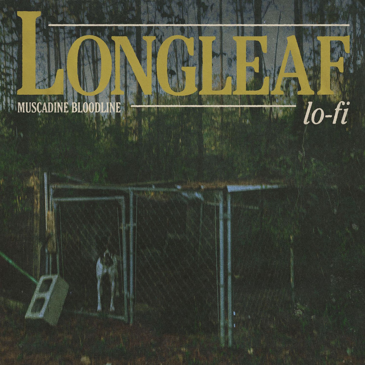 Muscadine Bloodline – Longleaf Lo-fi vinyl record cover