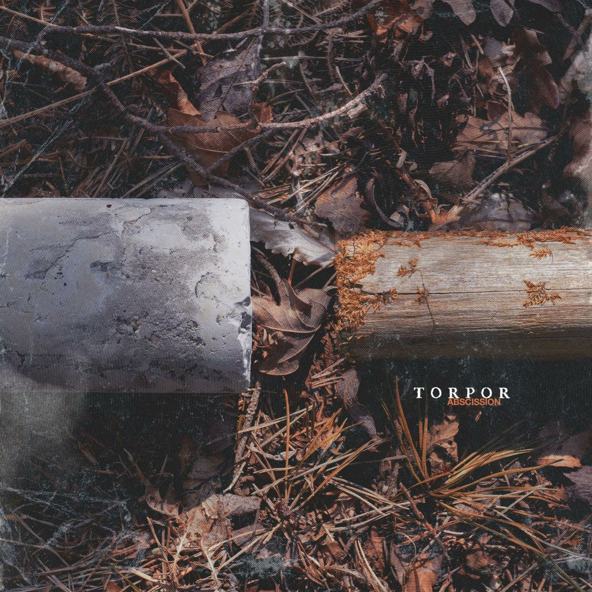 Torpor – Abscission vinyl record cover